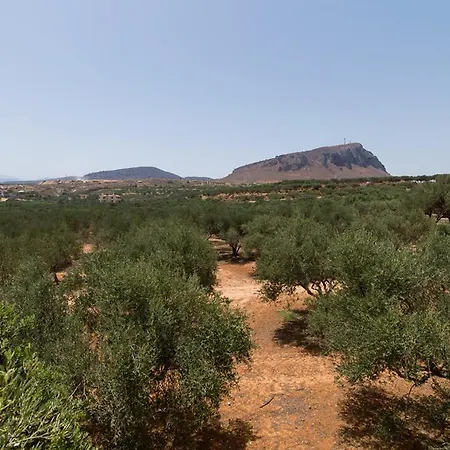 Athena Villas Olive Grove & Estate Gouves Exterior foto