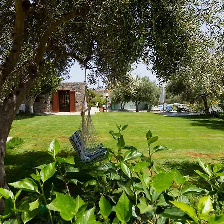 Athena Villas Olive Grove & Estate Gouves Exterior foto