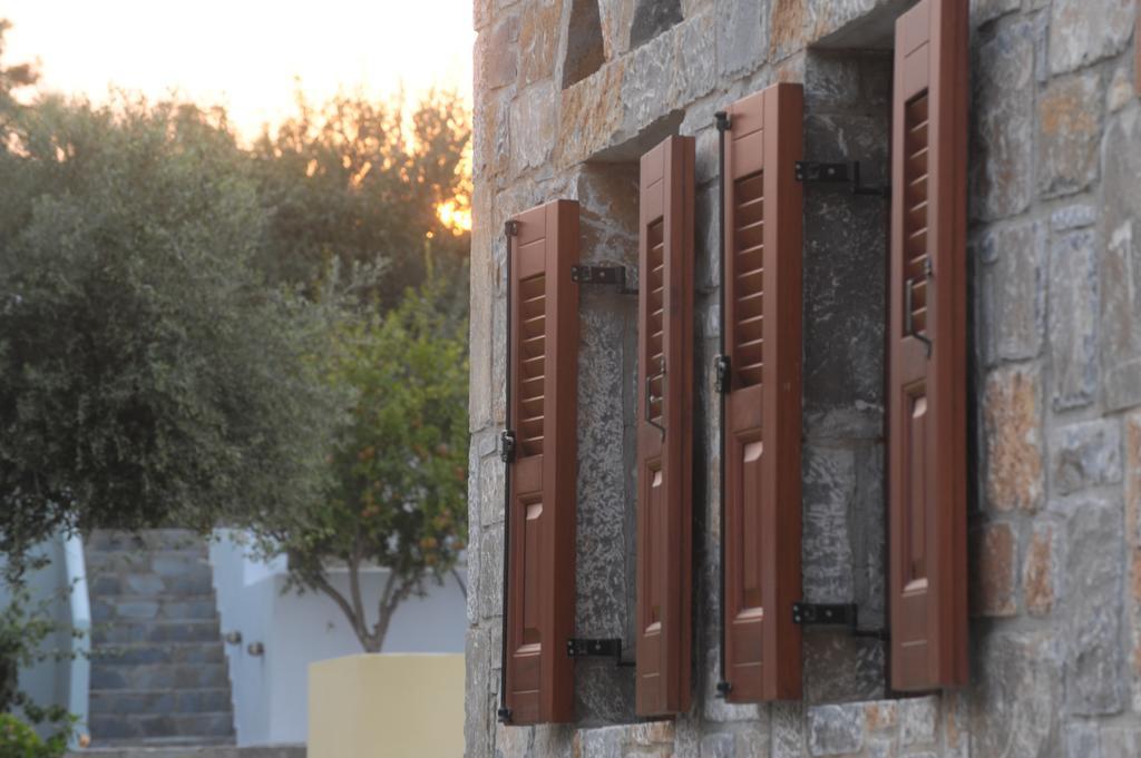 Athena Olive Grove & Estate Gouves