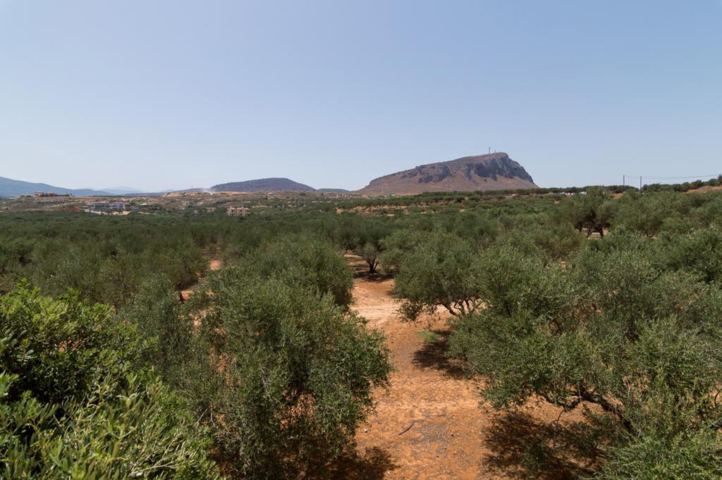 Holiday home Athena Olive Grove & Estate *