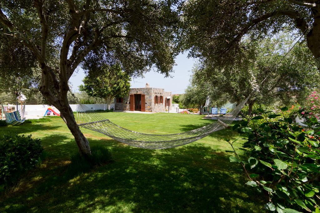 Athena Olive Grove & Estate *
