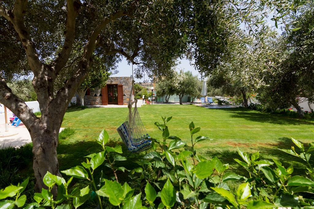 Athena Olive Grove & Estate Holiday home