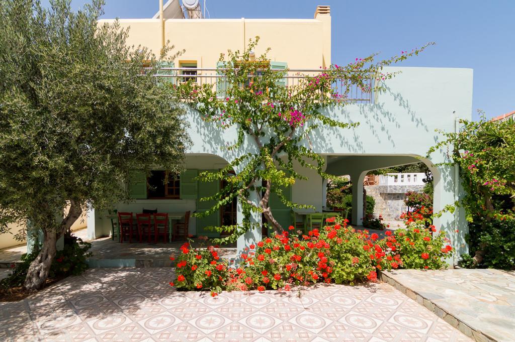 Athena Olive Grove & Estate